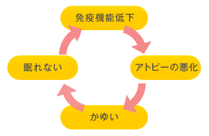 アトピー循環